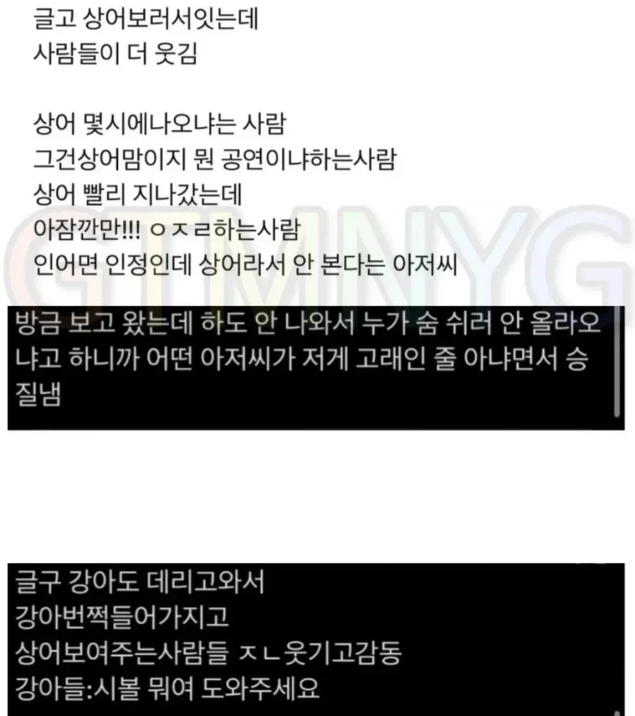 부산 상어 보러온 사람들의 대화.jpg