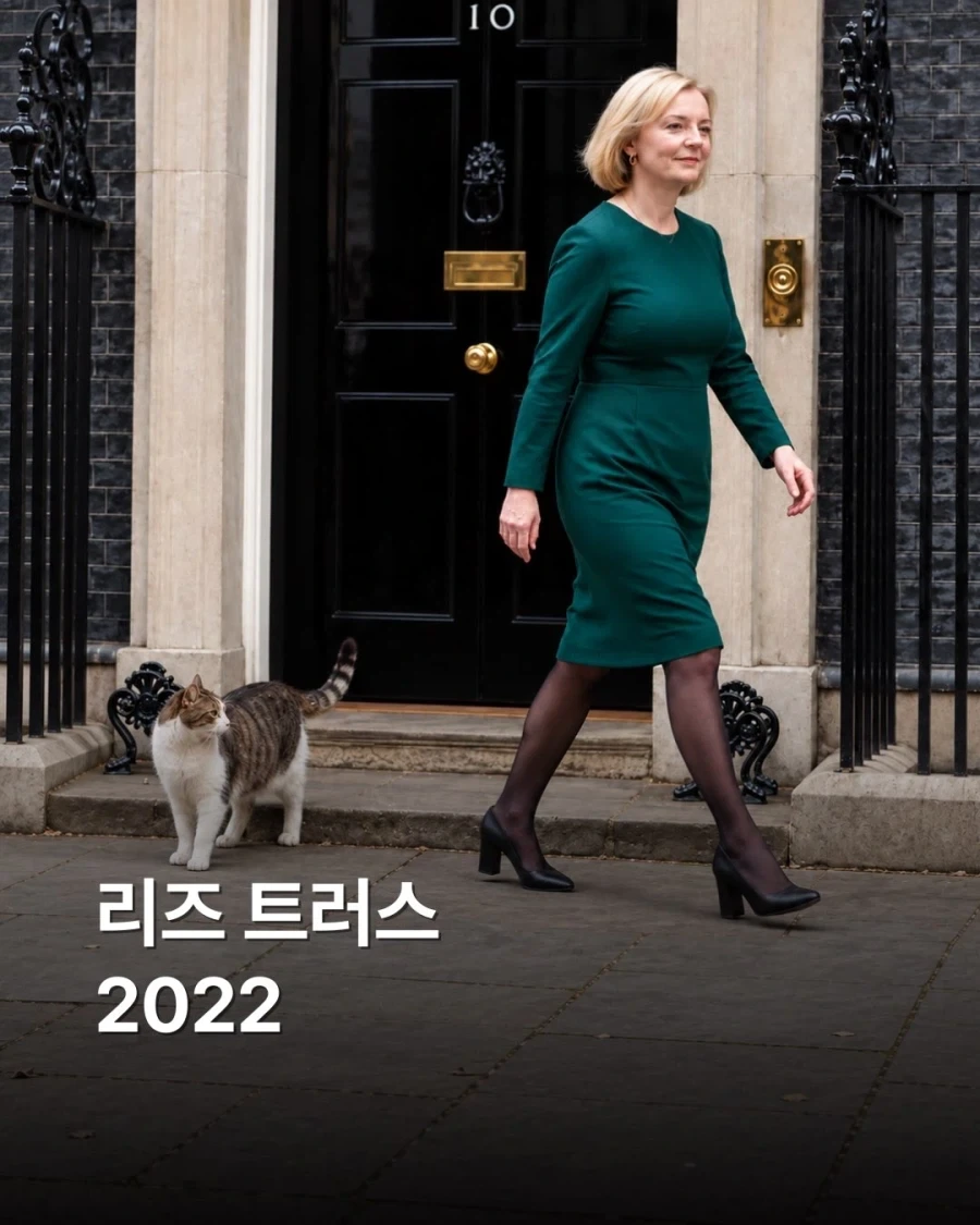 영국 총리 7명 거치는 동안 15년째 출근중인 고양이... - 이미지 5