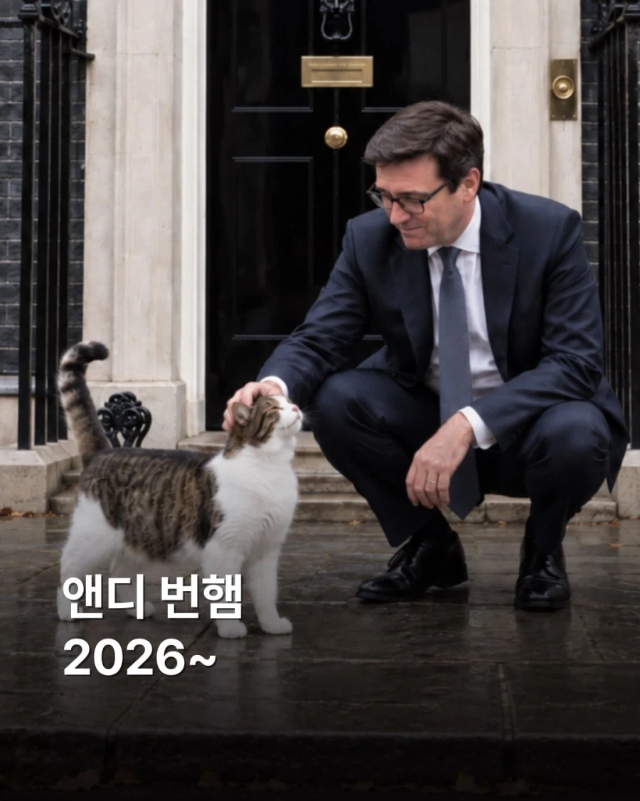 영국 총리 7명 거치는 동안 15년째 출근중인 고양이... - 이미지 8