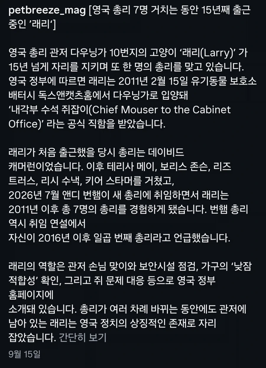 영국 총리 7명 거치는 동안 15년째 출근중인 고양이... - 이미지 9