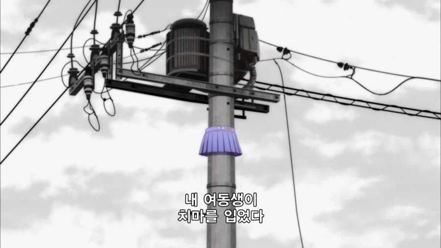 치마를 걸친 여동생을 본 오빠의 감상.jpg