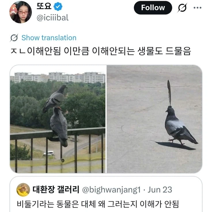 의외로 이해안되는 동물