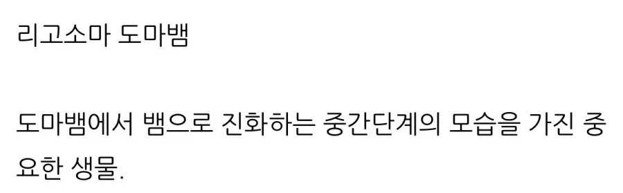 하찮은 다리를 가진 “도마뱀”.jpg - 이미지 6