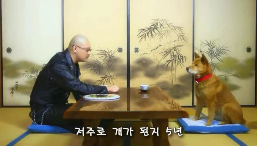 개그맨도 이렇게 열심히 안하겠다 - 이미지 2