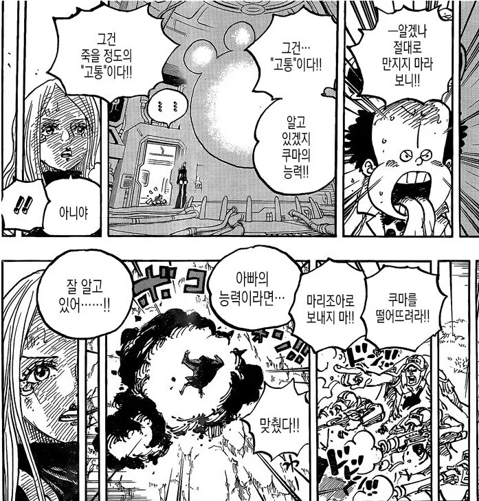 원피스) 절대 허언은 안하는 캐릭터.jpg