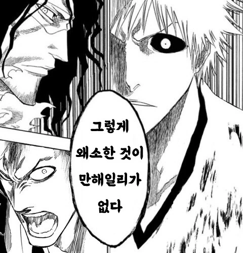 블리치)의외로 뱌쿠야의 발언에 딜이 들어갈 사람