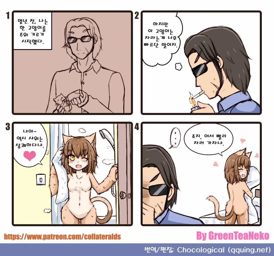 함부로 길고양이를 주워오면 안되는 이유.manwha