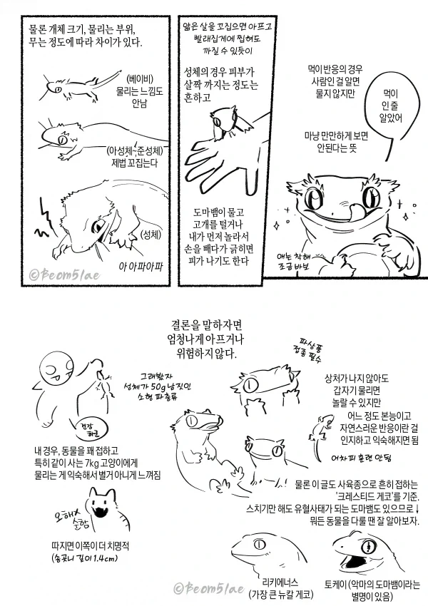 도마뱀 키우는 만화 - 이미지 2