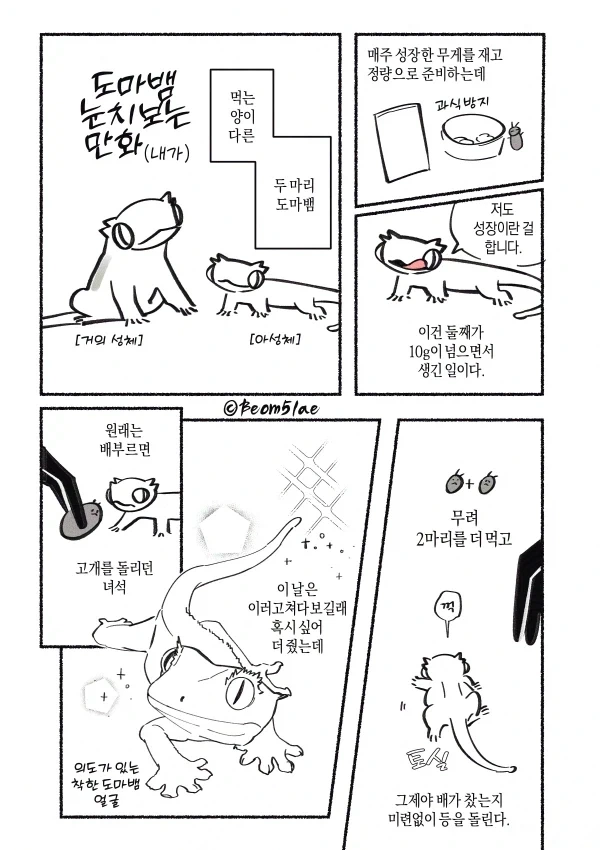 도마뱀 키우는 만화 - 이미지 3