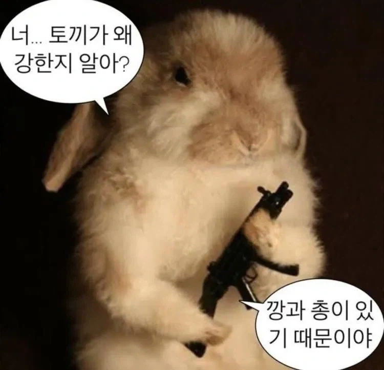 포유류 최강 생물은 토끼