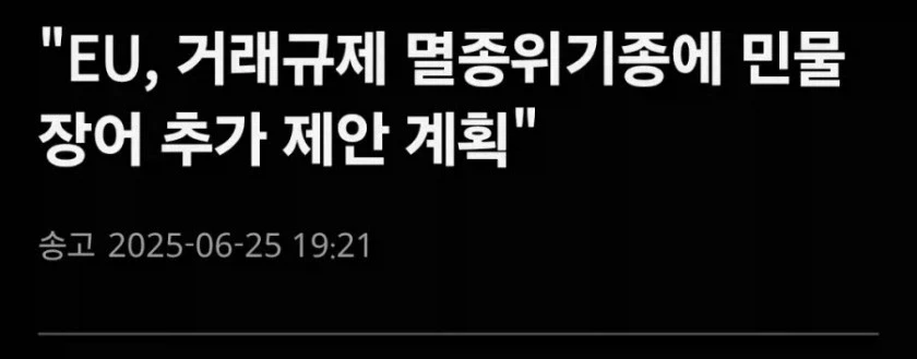 더럽게 싸우지만 더럽게 든든한 새끼들 - 이미지 4
