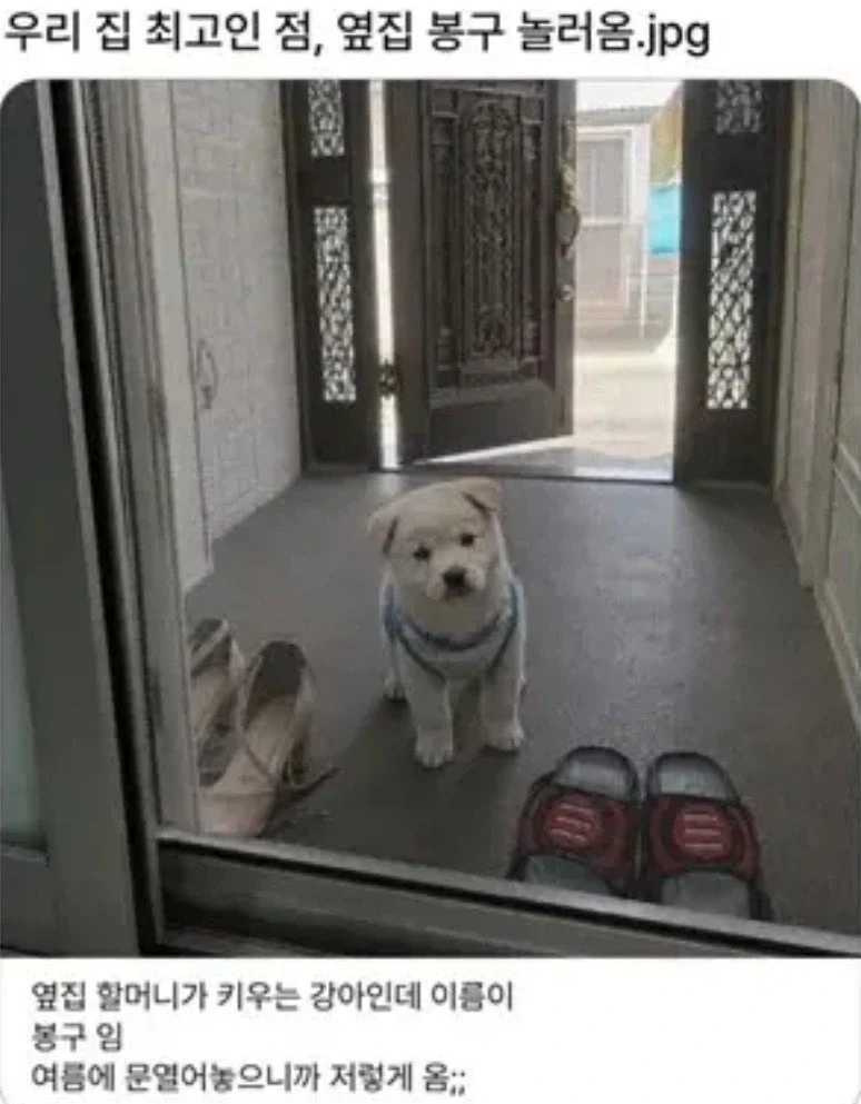 우리 집 최고인 점, 옆집 봉구 놀러옴