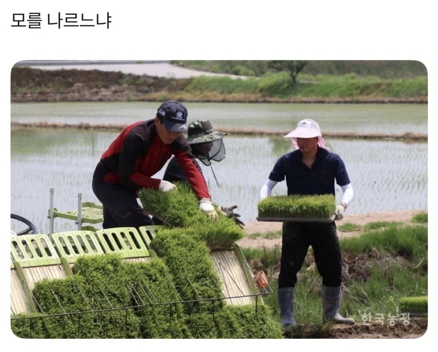 나를 모르느냐