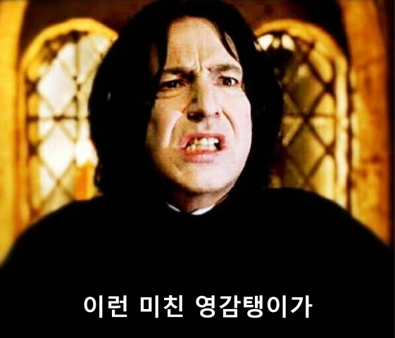 해리포터) 스네이프에 흔히 잘못 알려진 점 하나