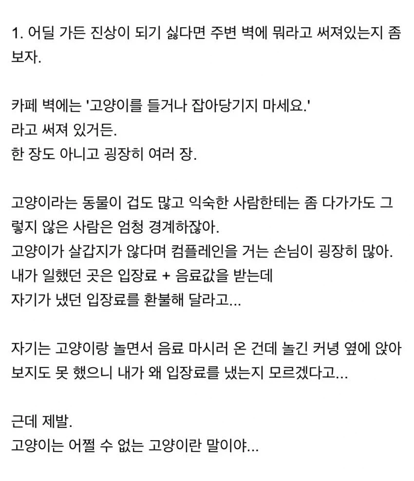 고양이 카페 알바하면서 있었던 일들 - 이미지 3