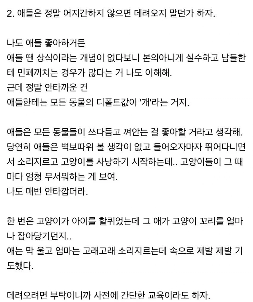 고양이 카페 알바하면서 있었던 일들 - 이미지 4