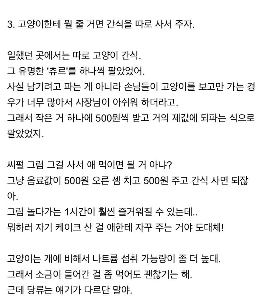 고양이 카페 알바하면서 있었던 일들 - 이미지 5