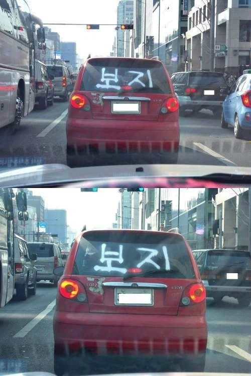 보지