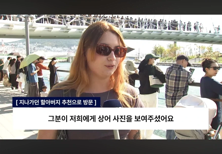부산에 외국인도 상어 구경하러 온 이유.jpg - 이미지 2