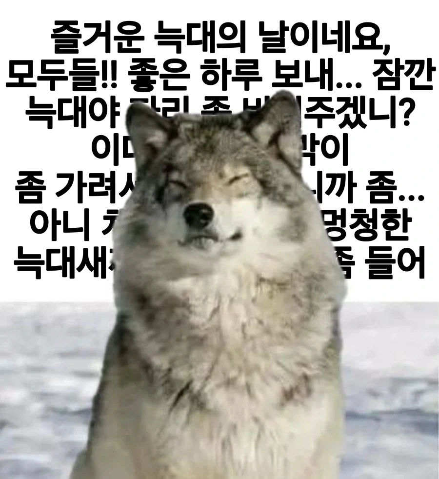 즐거운 늑대의 날이에요!