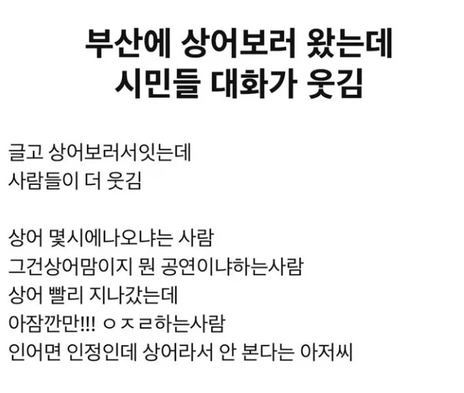 상어 보러간 사람이 들은 시민들의 웃긴 대화...