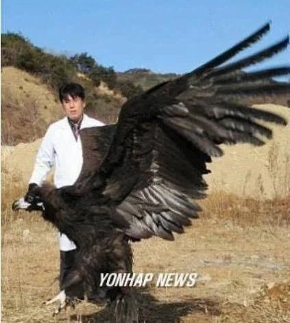 한반도 생태계가 극한이었다는 증거