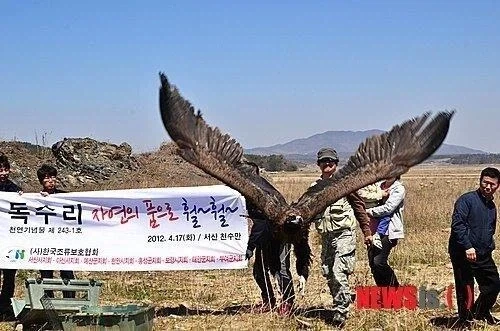 한반도 생태계가 극한이었다는 증거 - 이미지 2
