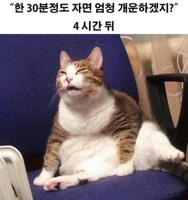 30분 낮잠.jpg