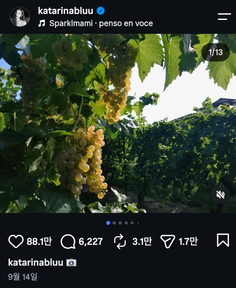 감성 차이 있다는 장원영과 카리나 - 이미지 6