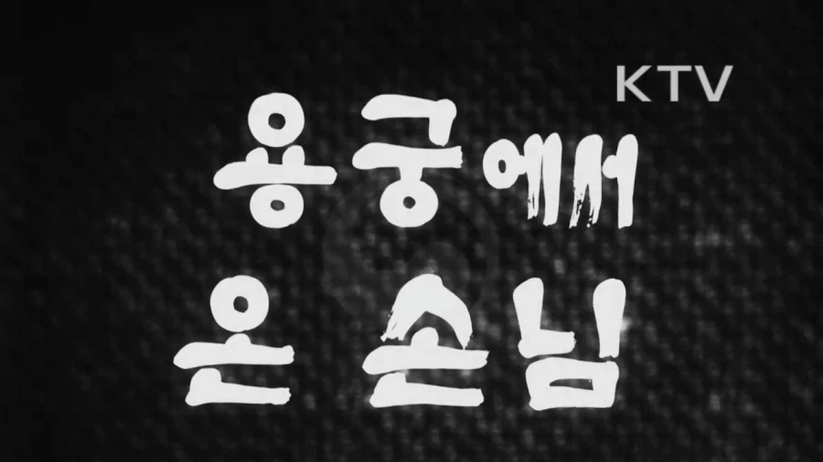 1964년 부산 해운대구에 나타난 거북이