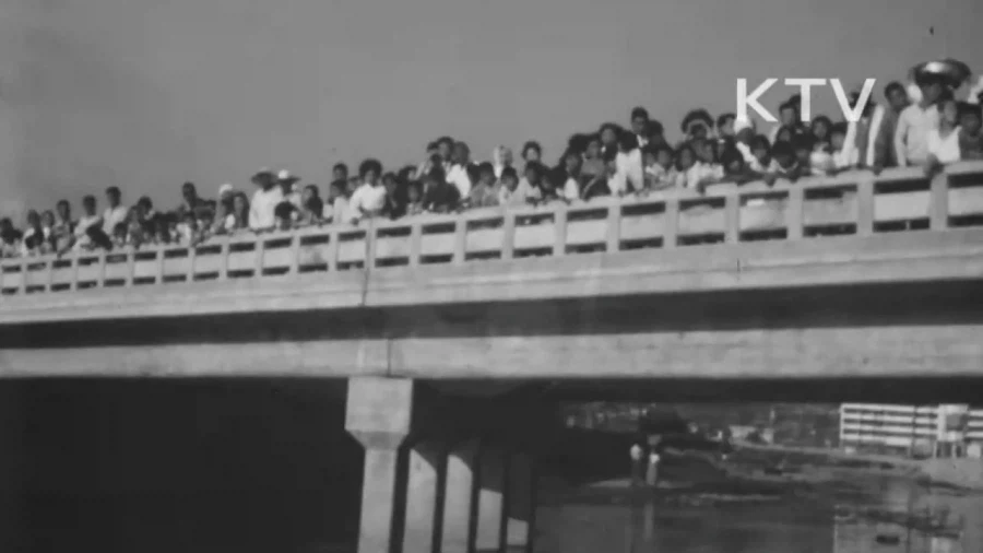 1964년 부산 해운대구에 나타난 거북이 - 이미지 2