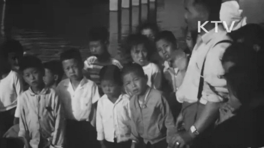 1964년 부산 해운대구에 나타난 거북이 - 이미지 3