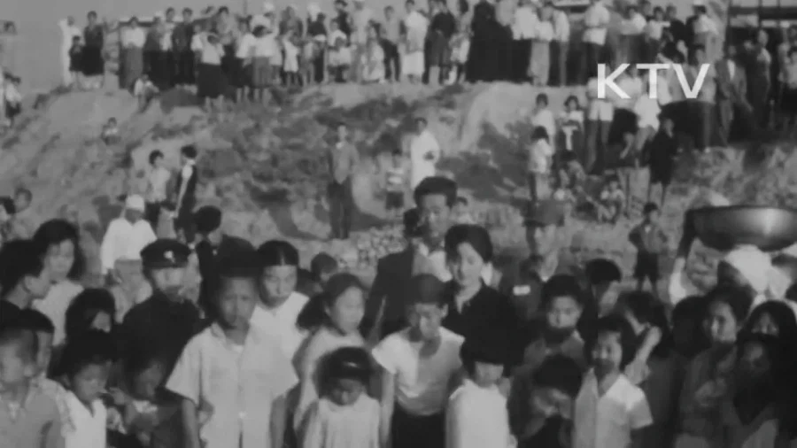 1964년 부산 해운대구에 나타난 거북이 - 이미지 11