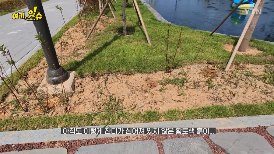 여수세계섬박람회 취재 간 YTN 기자 특징.JPG