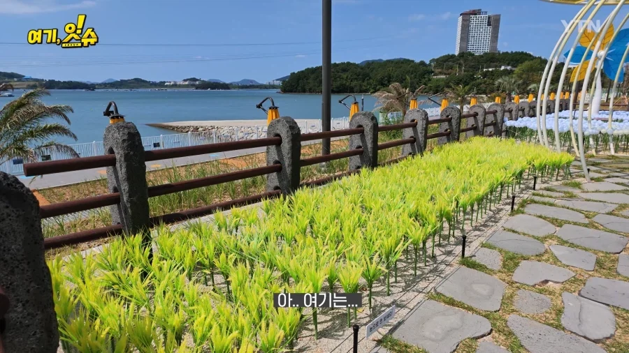 여수세계섬박람회 취재 간 YTN 기자 특징.JPG - 이미지 2