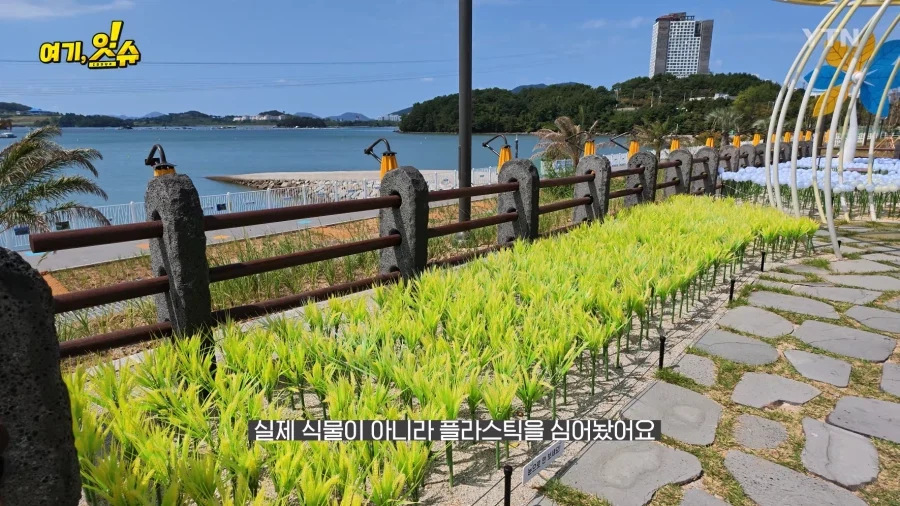 여수세계섬박람회 취재 간 YTN 기자 특징.JPG - 이미지 3