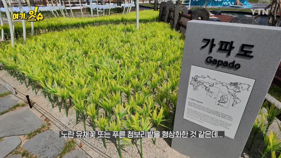 여수세계섬박람회 취재 간 YTN 기자 특징.JPG - 이미지 4