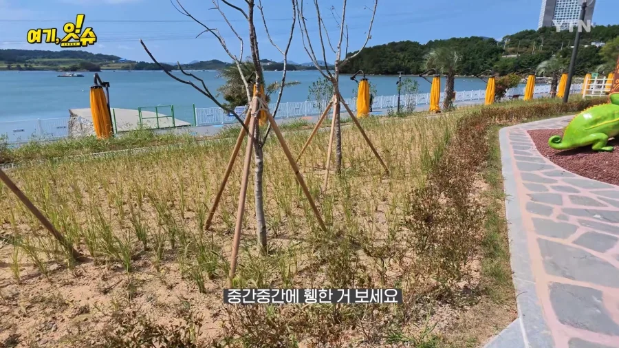 여수세계섬박람회 취재 간 YTN 기자 특징.JPG - 이미지 6