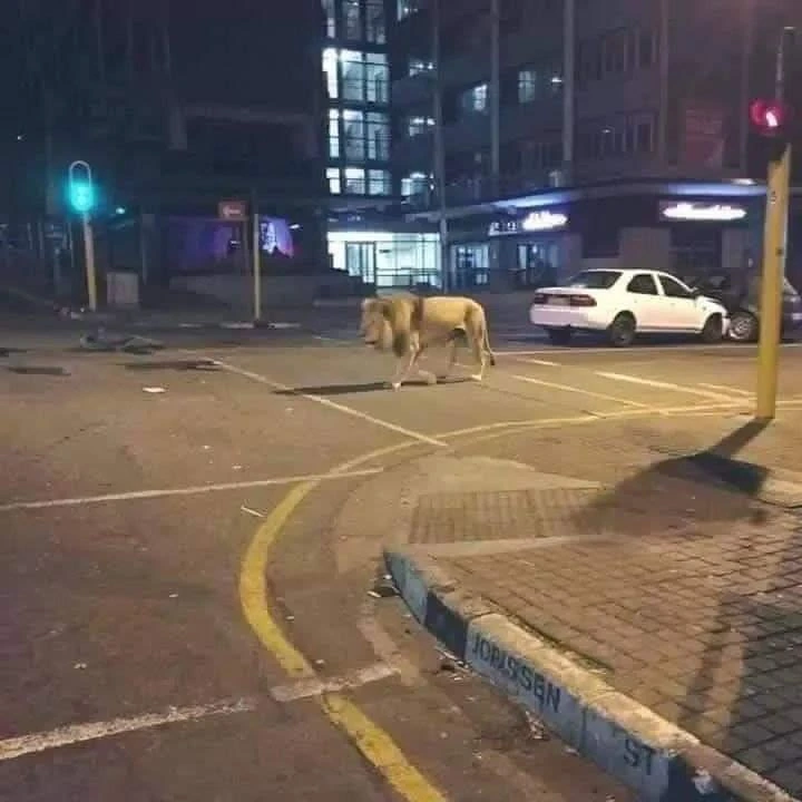 명절때 길거리에서 보이면 무조건 피해간다는 백수