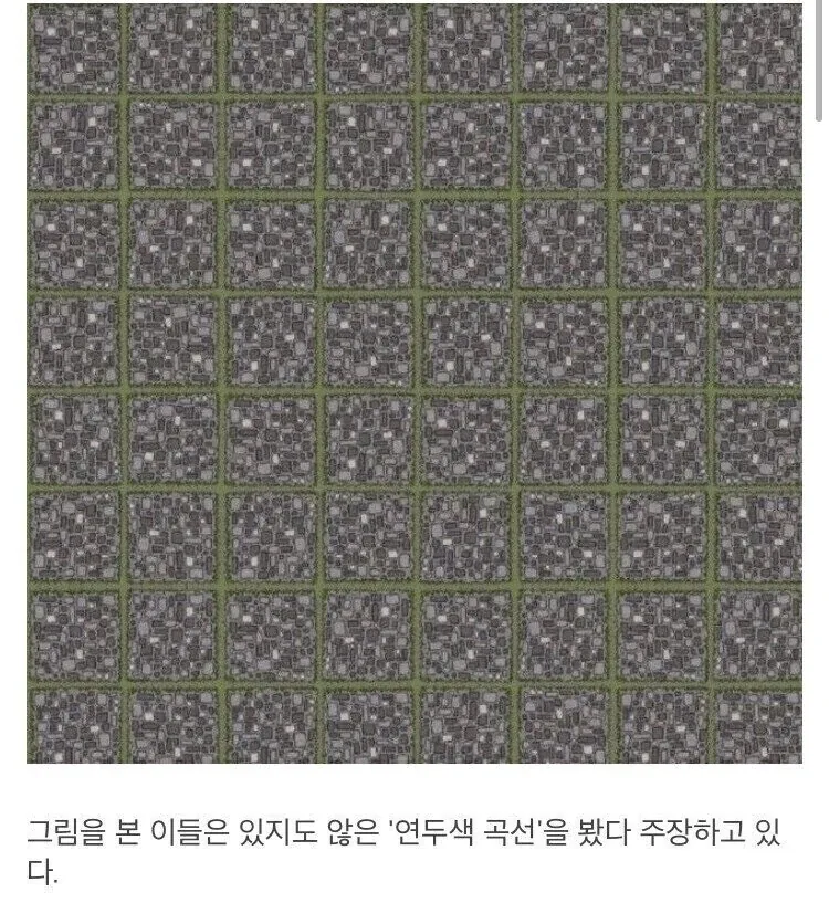 뇌를 농락하는 그림.jpg