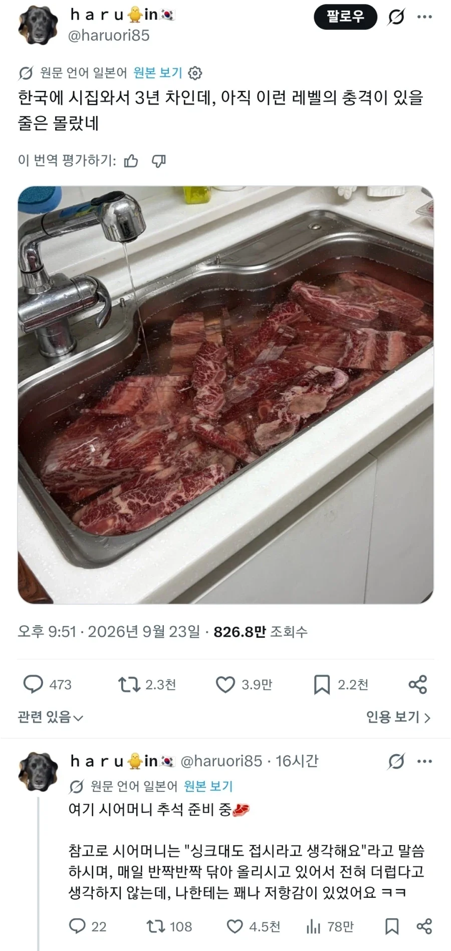 일본에서 난리난 한국 3년차 일본며느리 컬쳐쇼크