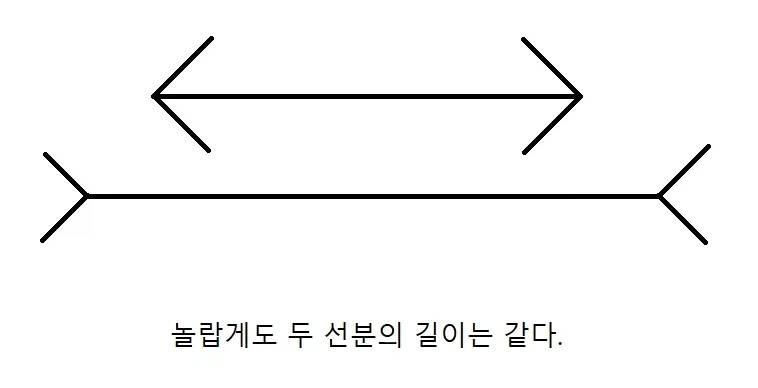 신기한 착시현상 모음.jpg