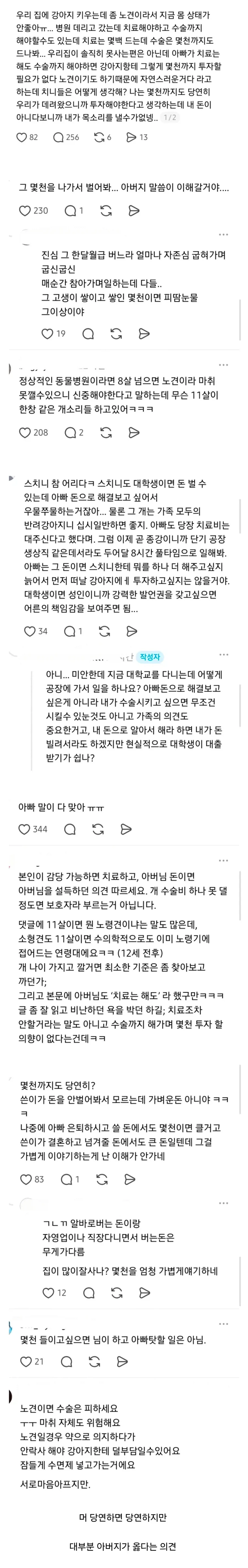노견 수천만원 드는 수술은 안시킨다는 아버지