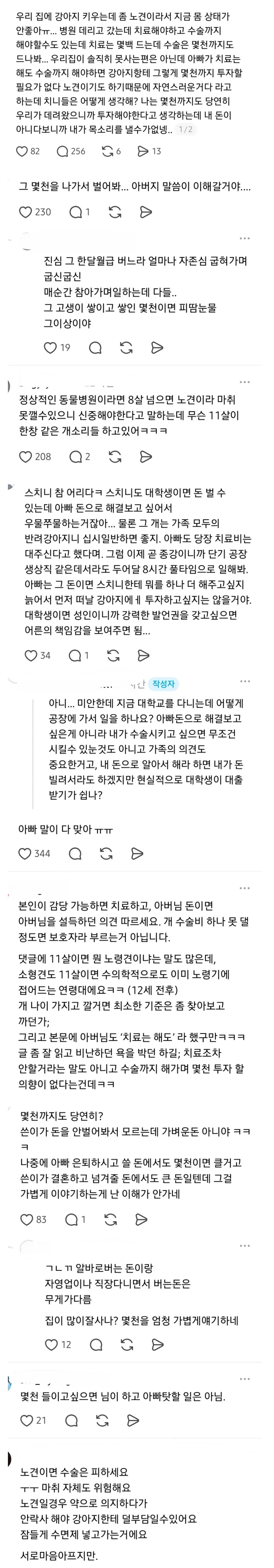 노견에 몇천만원 쓸 수 있지 않냐고 했다가 욕먹는 대학생
