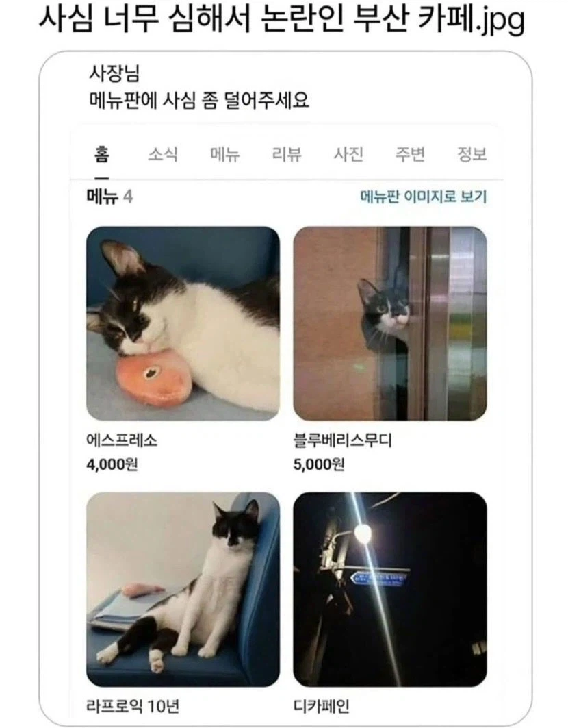 사심이 너무 심한 부산 카페