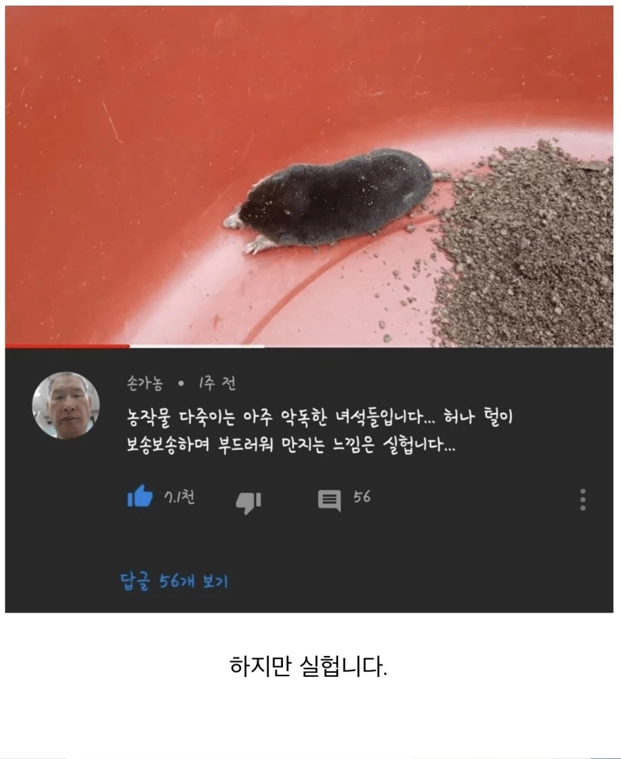 농사 다 망치는 괴물.jpg
