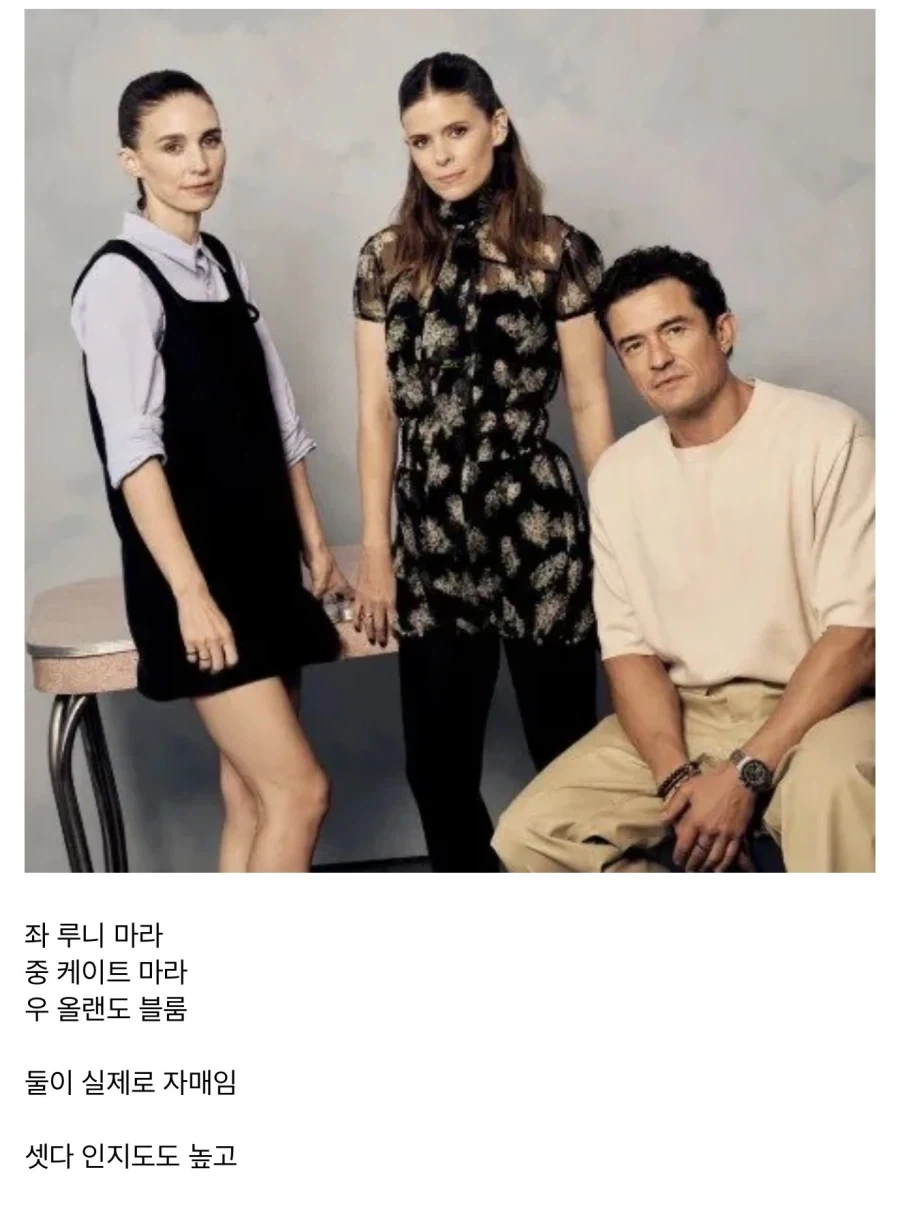 자매덮밥