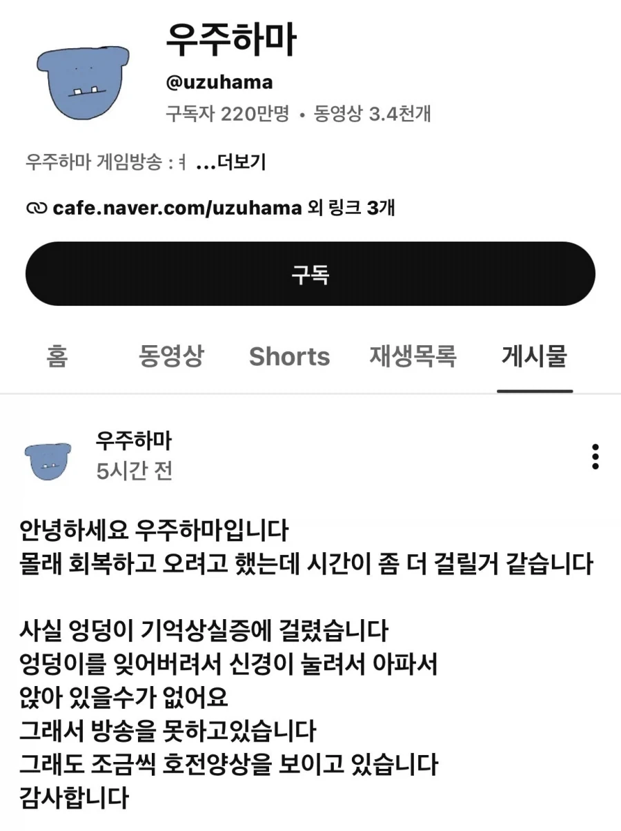 어떤 유튜버가 휴방 사유로 억울하게 욕먹음 - 이미지 2