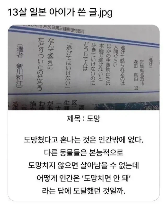 13살 일본 아이가 쓴 글.