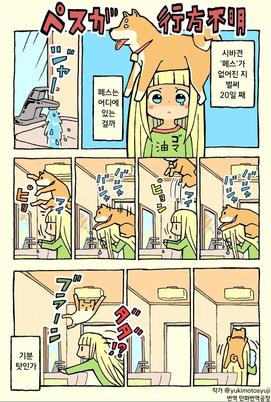집나간 댕댕이 만화